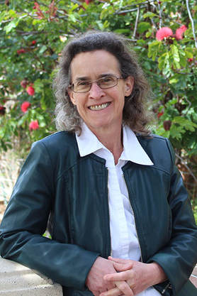 Lisa K. Shapiro Picture